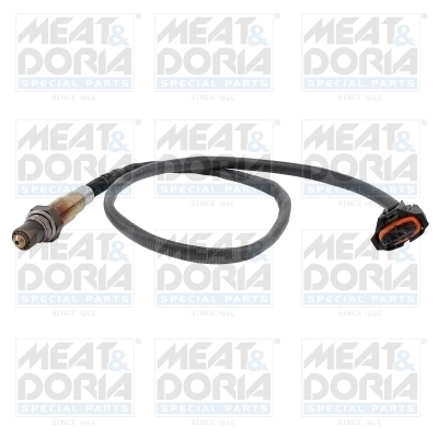 Oxygen Sensor